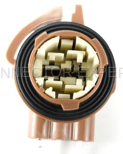 Connector Experts - Normal Order - Front Turn, Park Lamp - Image 2