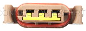 Connector Experts - Special Order  - Park/Turn Light - Rear - Image 5