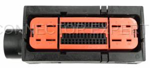 Connector Experts - Special Order  - ABS Module - Image 5