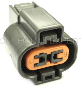 Keyless Entry Buzzer - Rear